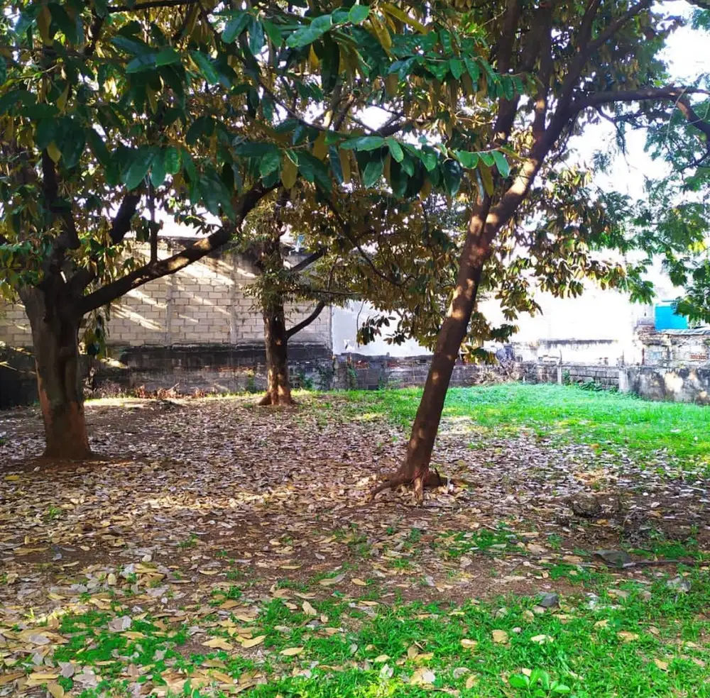 Tanah bisa cocok untuk usaha di Jual di Mampang Prapatan