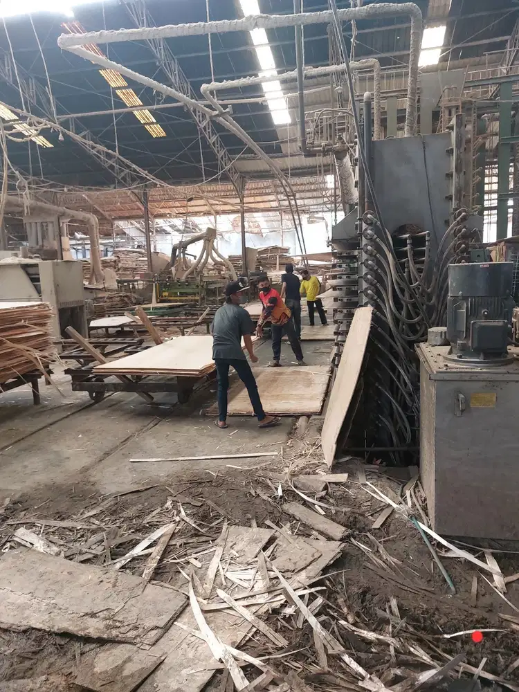 Jual cepat pabrik plywood aktif nego serius