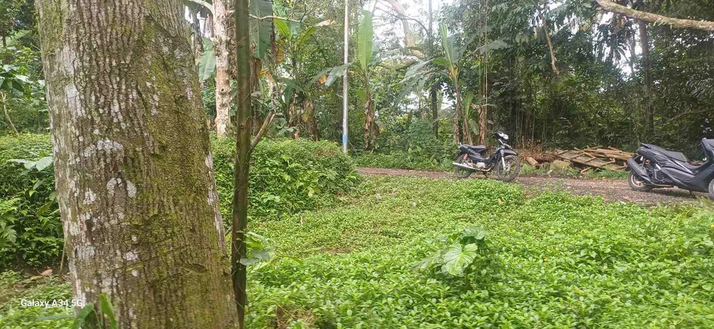 di sewakan tanah  view cantik pinggir jalan los sungai pekerisan