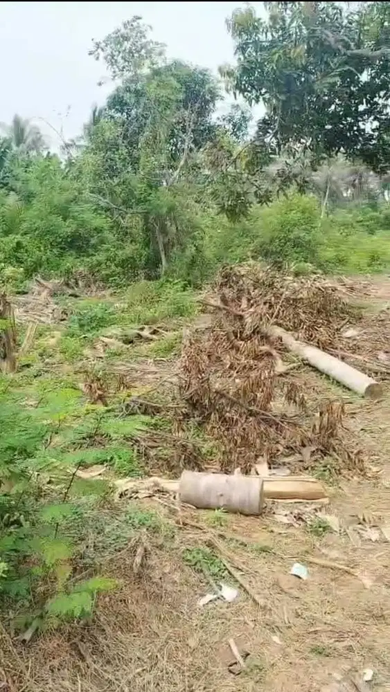 Raya Mauk - Teluk Naga Tanah Padat Pinggir Jalan Raya Akses Kontainer