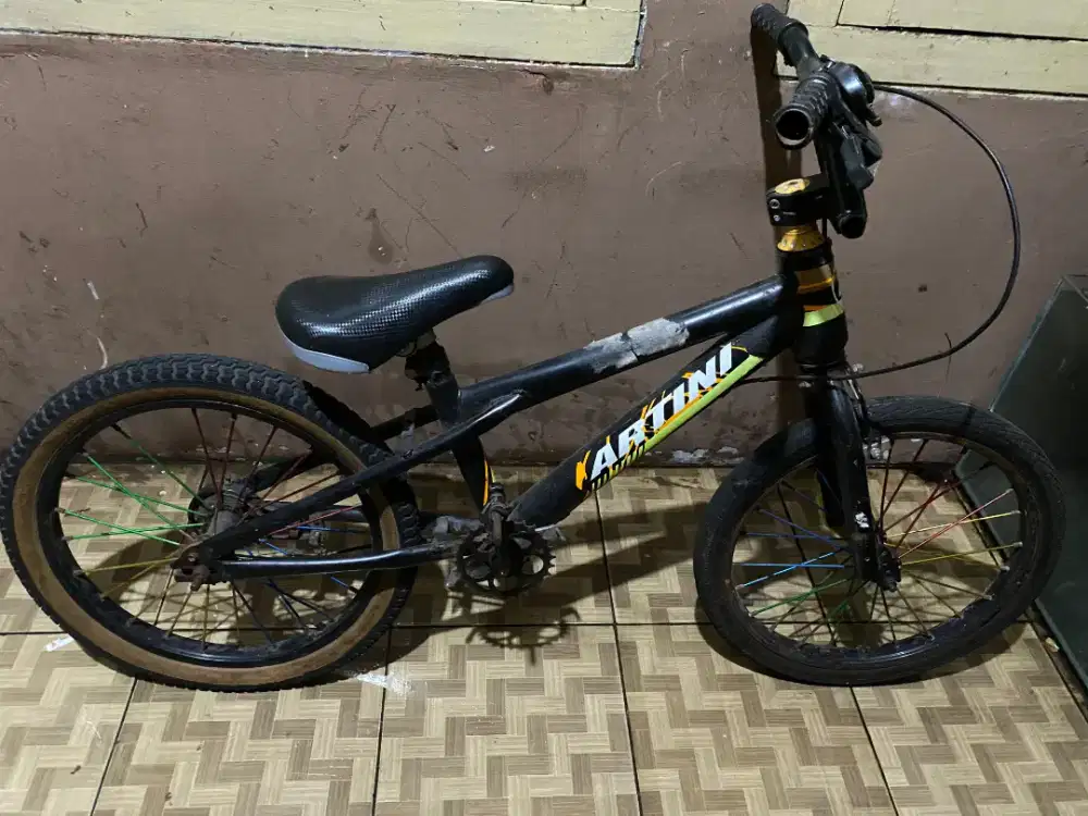 Sepeda merk artini
