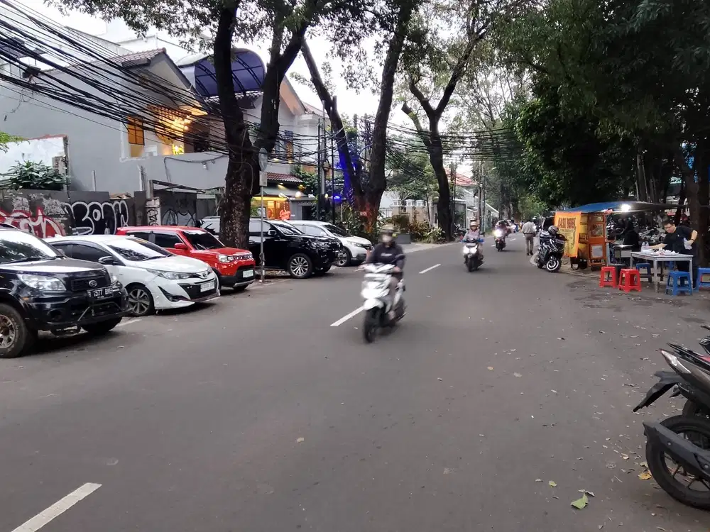 Dijual tanah panglima polim