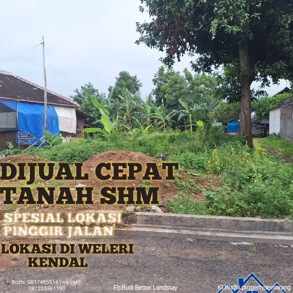 TANAH MURAH,JUAL CEPAT, ISTIMEWA LOKASI PINGGIR JALAN DI WELERI KENDAL