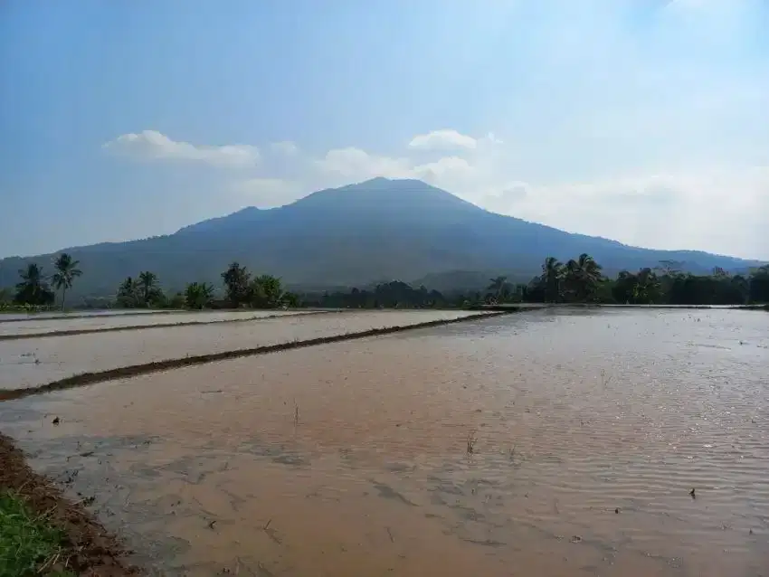 Dijual tanah pinggir jalan raya, 3 hektar, SHM