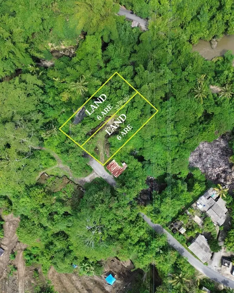 For Sale Freehold Land View Jungle And River