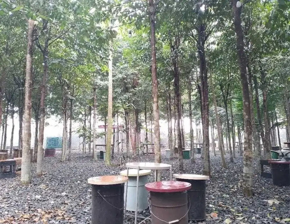 Tanah Strategis Pagedangan 200m Jl Bsd Raya Pusat