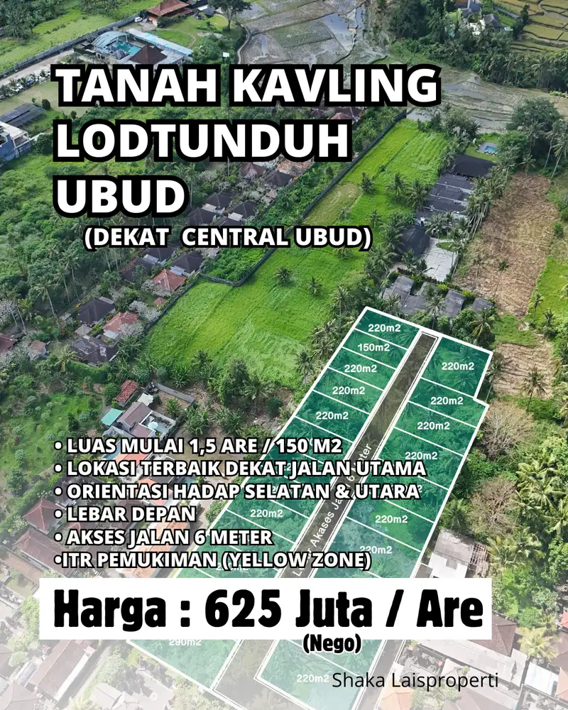 TANAH KAVLING BERLOKASI LODTUNDUH MAS UBUD GIANYAR BALI
