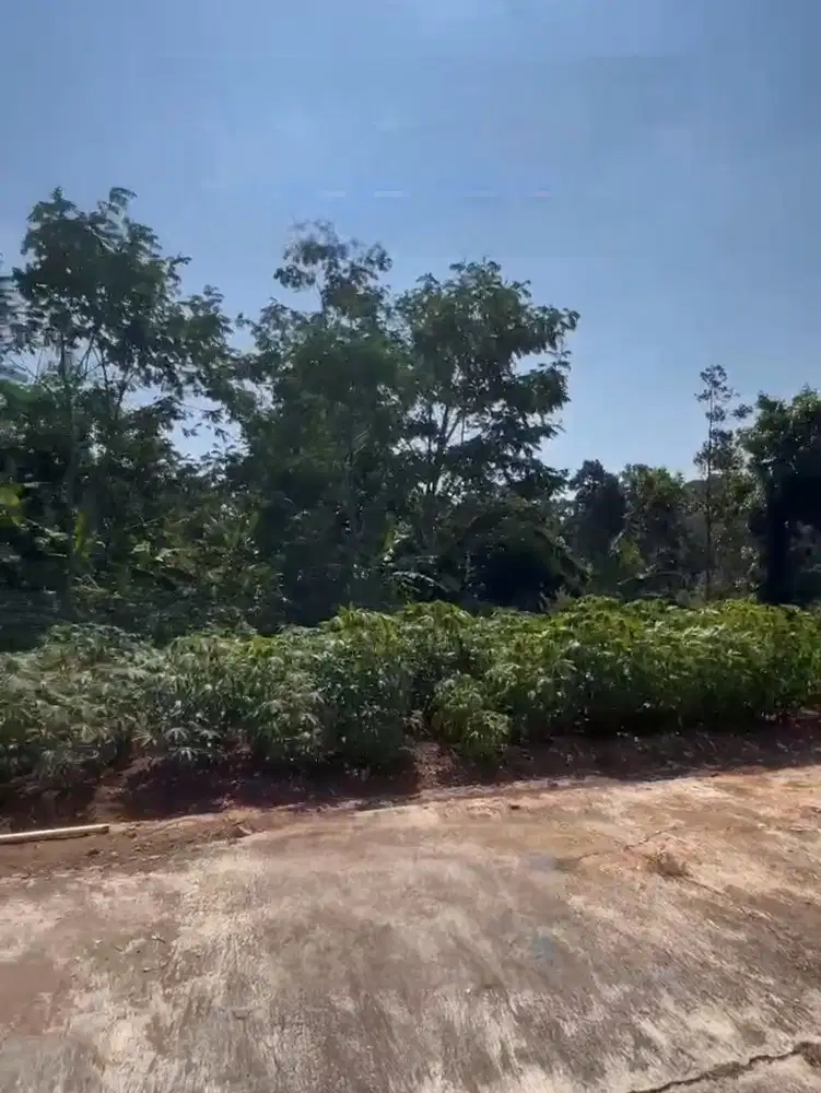 TANAH KAVLING JATEN PATEMON RING 2 KAMPUS UNNES GUNUNG PATI SEMARANG