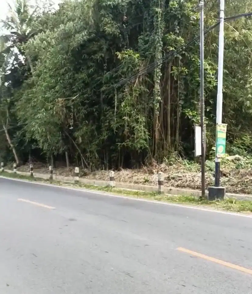 Jual Tanah pinggir jalan Parangtritis selatan TPR