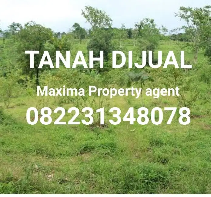 Welcome Investor Ruko/Minimarket Tanah 0 jalan Raya Trosobo