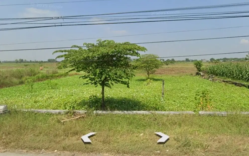 Jual Tanah Balongpanggang Gresik