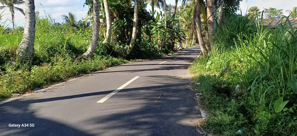 di jual tanah murah di pinggir jalan  dekat ubud link vila