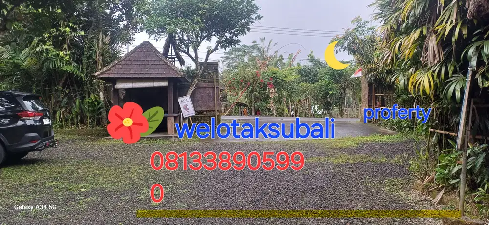 Dijual tanah pinggir jalan utama kintamani kawasan resto dan agro