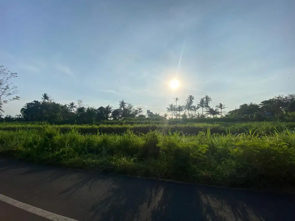 BUC Tanah 21 are Pinggir Jalan Utama di Pering Gianyar