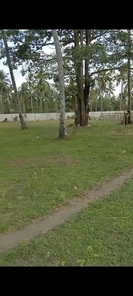 TANAH TEPI PANTAI MONTONG