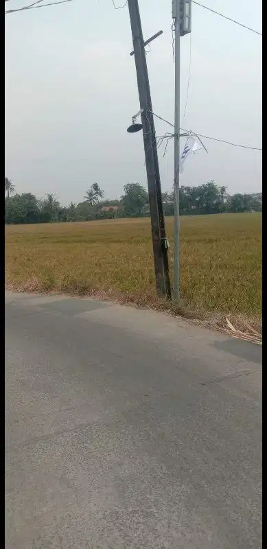 Tanah sawah SHM ,daerah pabrik di sepatan , tangerang