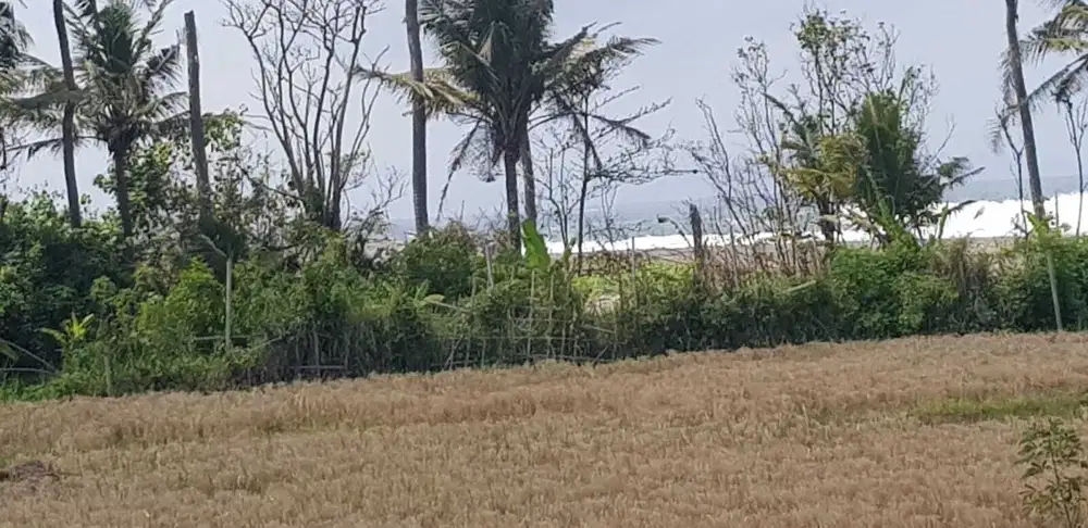 Tanah 12 are Lingkungan Villa View Pantai dan Sungai di Ketewel