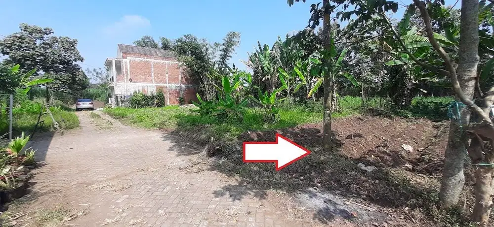 Tanah murah Tirtomoyo Pakis Malang Terongdowo Dijual cepat B.U Poll