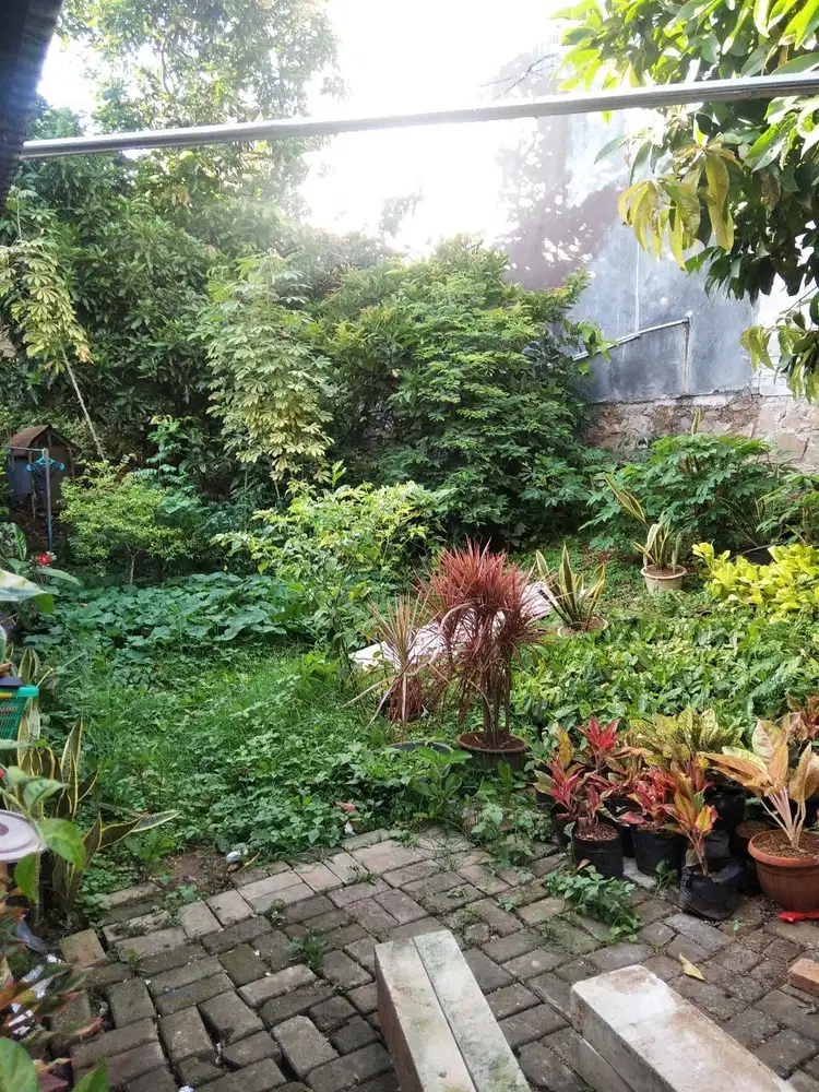 Dijual TANAH MURAH di Jakarta Barat