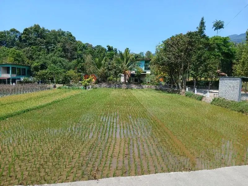 Dijual Tanah Untuk Villa View Cantik di Wanayasa Purwakarta