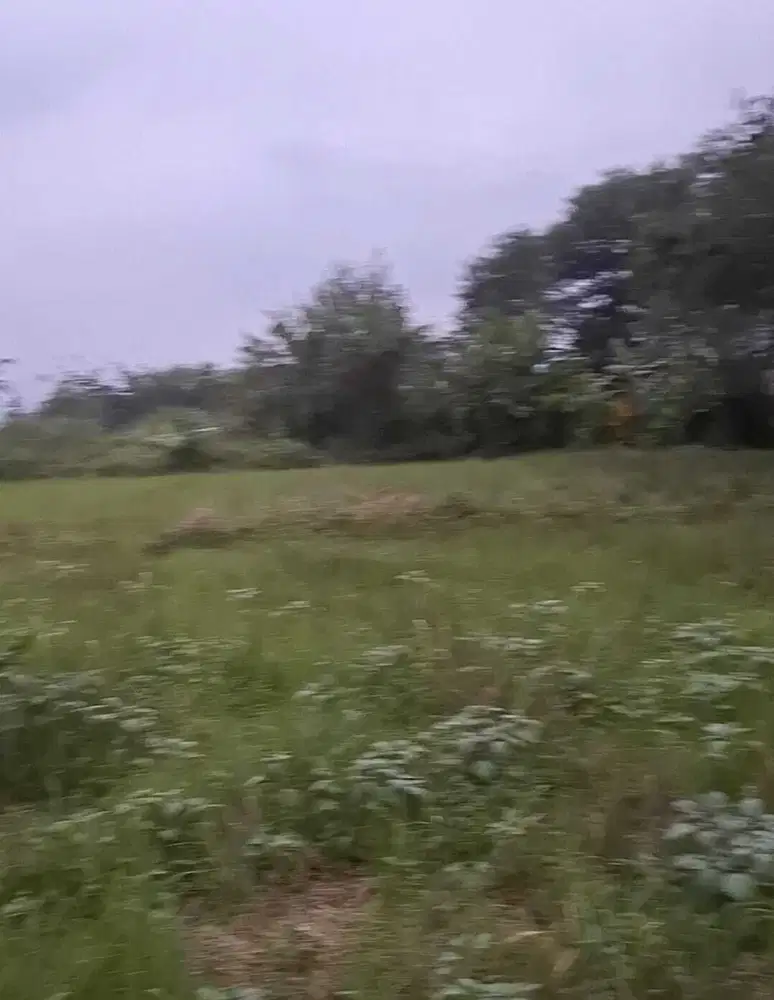 Lahan Murah Strategis