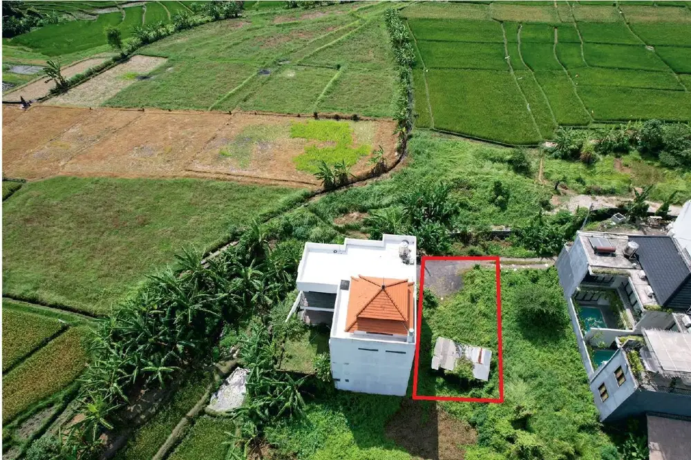 Land for Sale with Stunning Rice Field View at Canggu Tumbak Bayuh