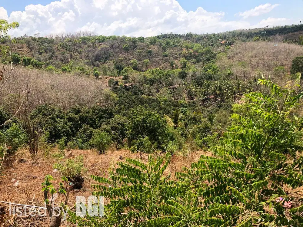 Dijual Tanah 69 Ara View Laut - Depeha, Singaraja