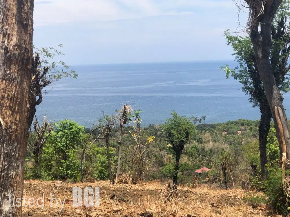 Dijual Tanah 1,65 HA View Laut - Desa Bukti Singaraja