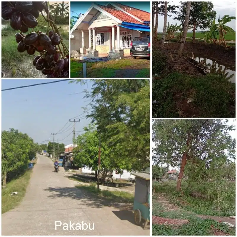 Dijual Murah Rumah Kampung Plus Balong di Sukasari Subang