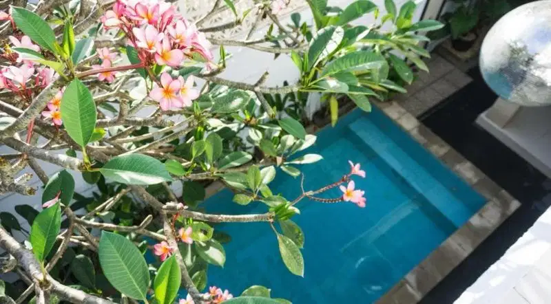 Cozy villa di area Kerobokan dekat keseminyak  &  sunset