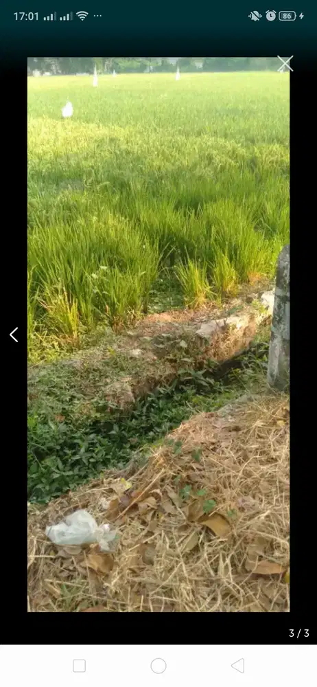 Tanah  Komersial Madiun luas 1ha