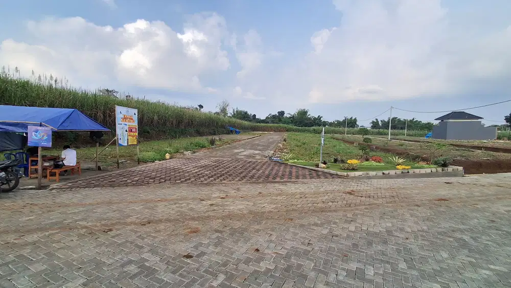 Tanah Saptorenggo Pakis Malang dkt Kampus Binus Araya Kavling Tribuana