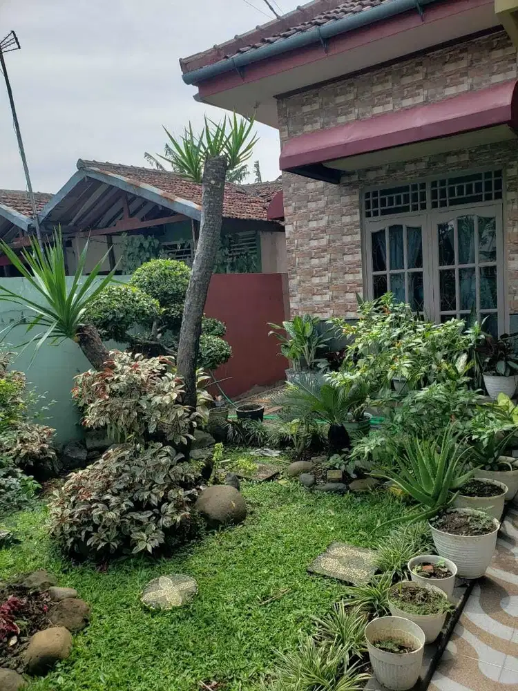 Rumah Murah Dekat Kampus Institut Pertanian Bogor Di Ciampea Bogor