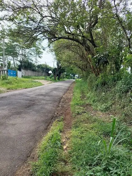 Tanah Kaveling di Cianjur desa Jamali, Mande