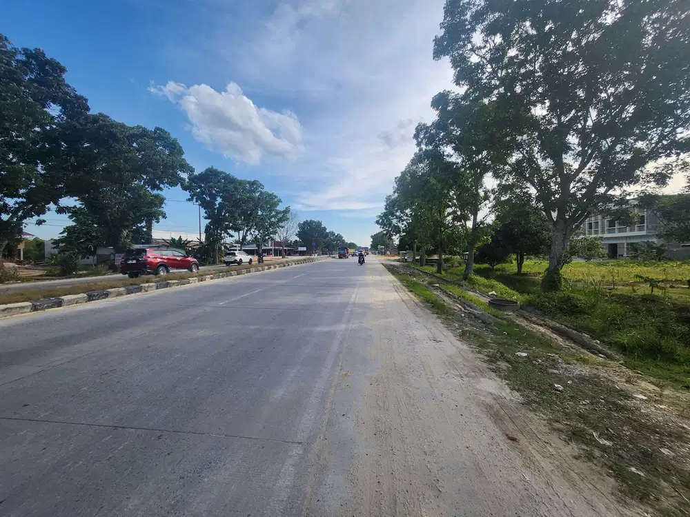 Tanah 80x1000 ditepi jalan Lintas ( Rimbo Panjang)