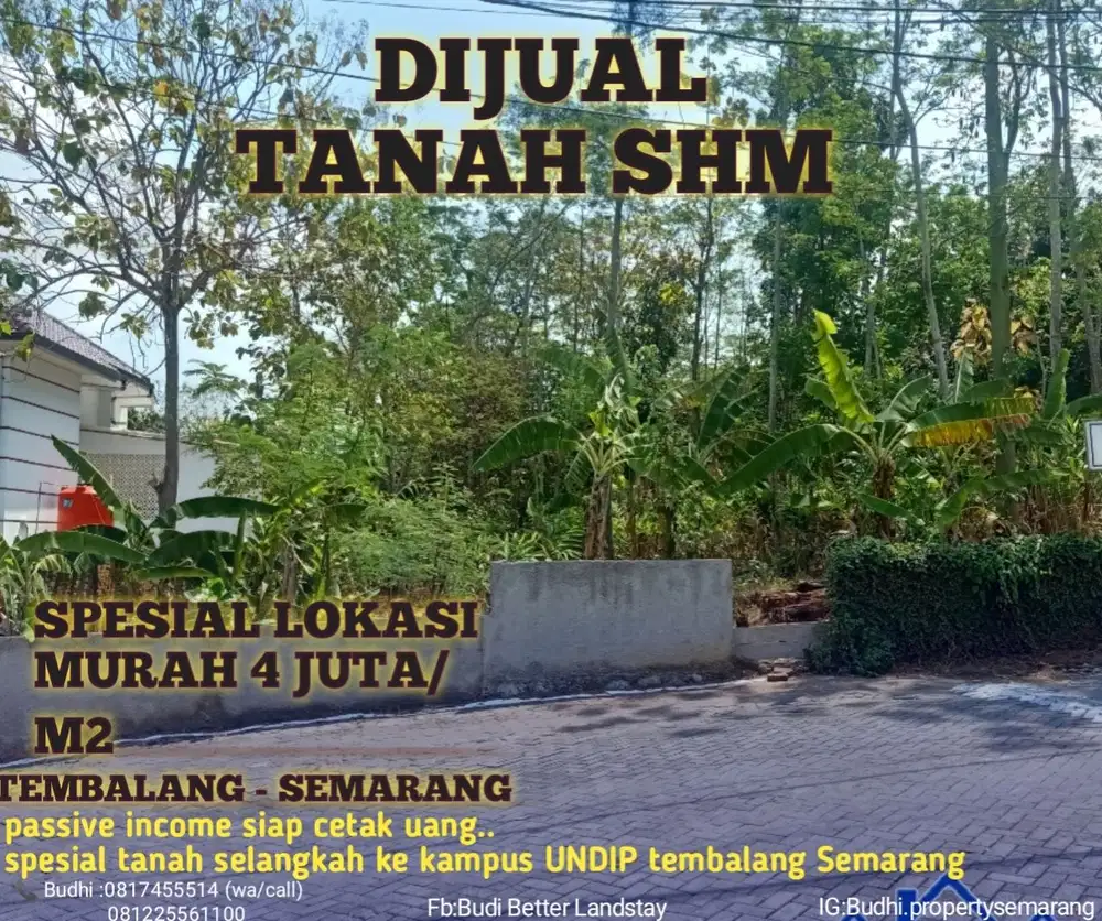 JUAL CEPAT,MURAH,TANAH TEMBALANG SELANGKAH KE KAMPUS UNDIP SMG