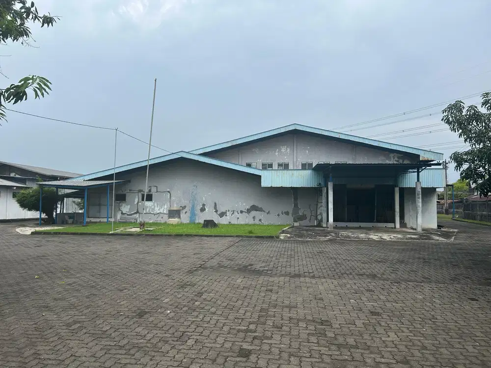 Pabrik Seafood Dengan ColdStorage & Pembeku Pantura