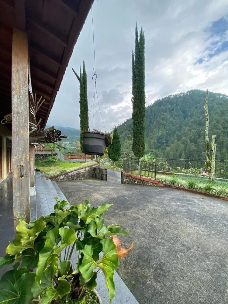 JUAL TANAH LUAS 1000 M2 BUAT VILLA KEMUNING TAWANGMANGU KARANGANYAR