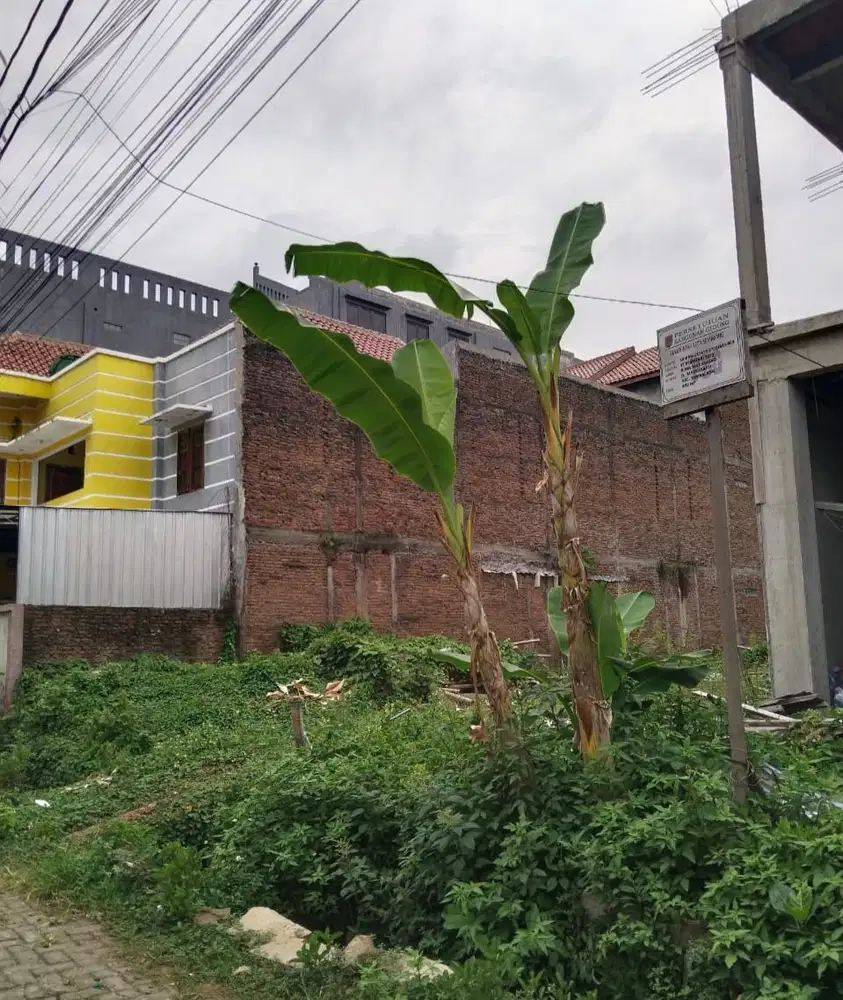 TANAH STRATEGIS DEKAT KAMPUS UNDIP LOKASI MULAWARMAN TEMBALANG