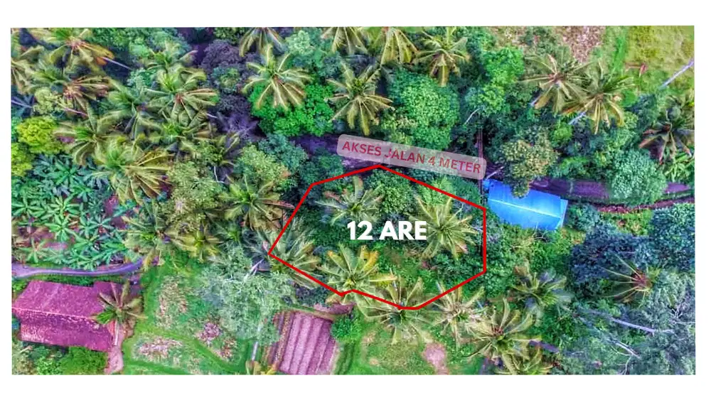 For Sale Freehold Land Ubud Central