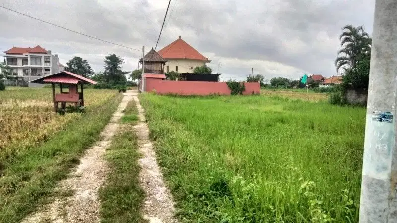 Tanah Sewa View Pantai Bisa di Ambil Sesuai Permintaan di Ketewel