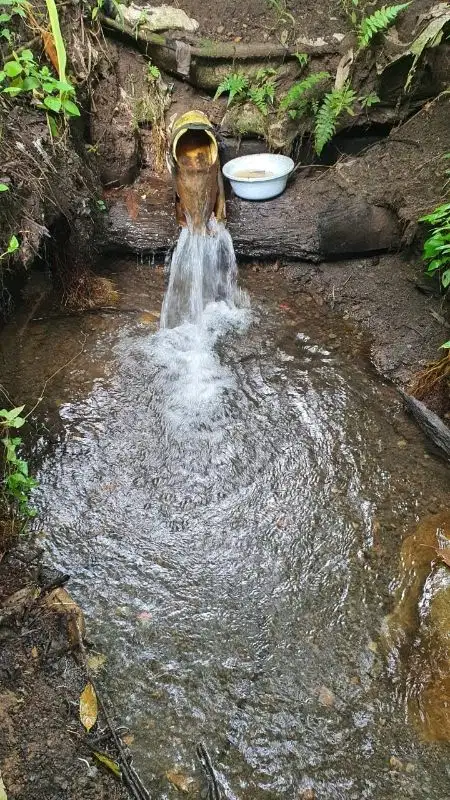 TANAH MURAH ADA MATA AIR COCOK BERKEBUN atau INVESTASI