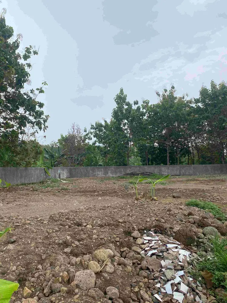 TANAH MURAH LUAS STRATEGIS DEKAT KAMPUS UNDIP TEMBALANG LOKASI METESEH