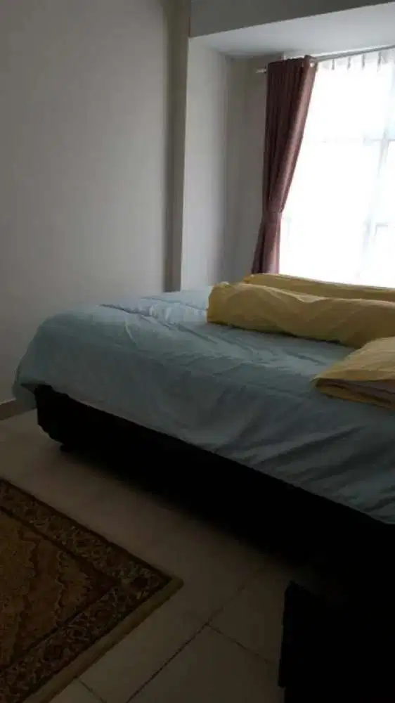 Disewakan  Apartement Saveria tipe studio