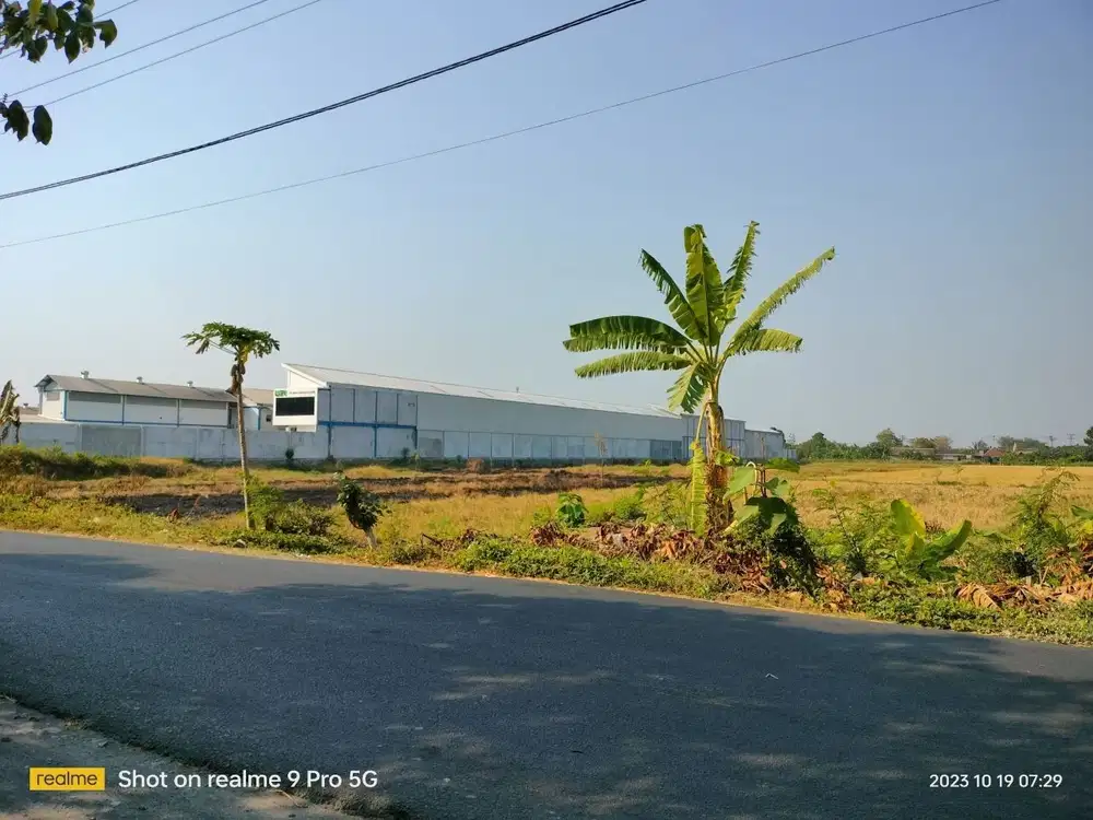 TANAH PEKARANGAN BUAT GUDANG BAKI SUKOHARJO MANGKU JALAN PROPINSI