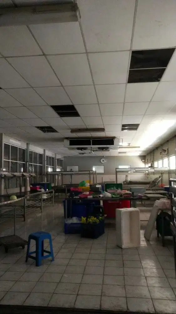 Pabrik Seafood Dengan ColdStorage & Pembeku Pantura