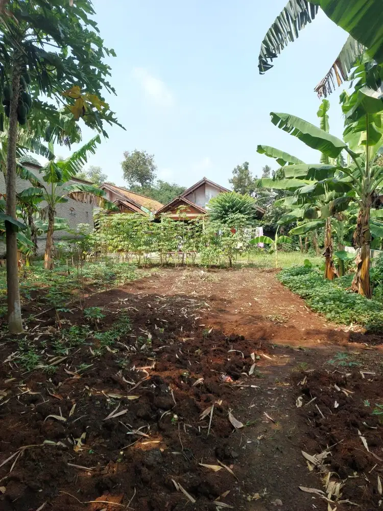 Jual tanah cisauk, dekat intermoda bsd city