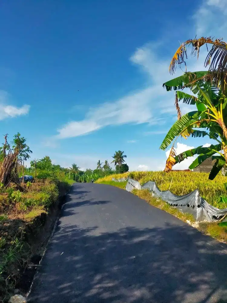 Tanah 2 are Lingkungan Villa di JLn. Pantai Kedungu