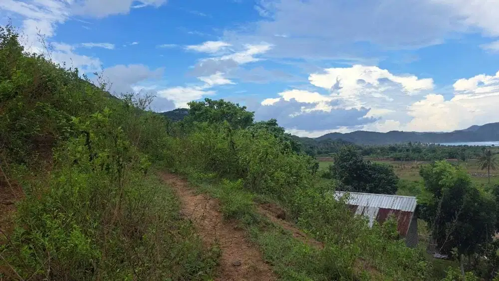 DIJUAL TANAH OCEAN VIEW DI LANCING MEKAR SARI