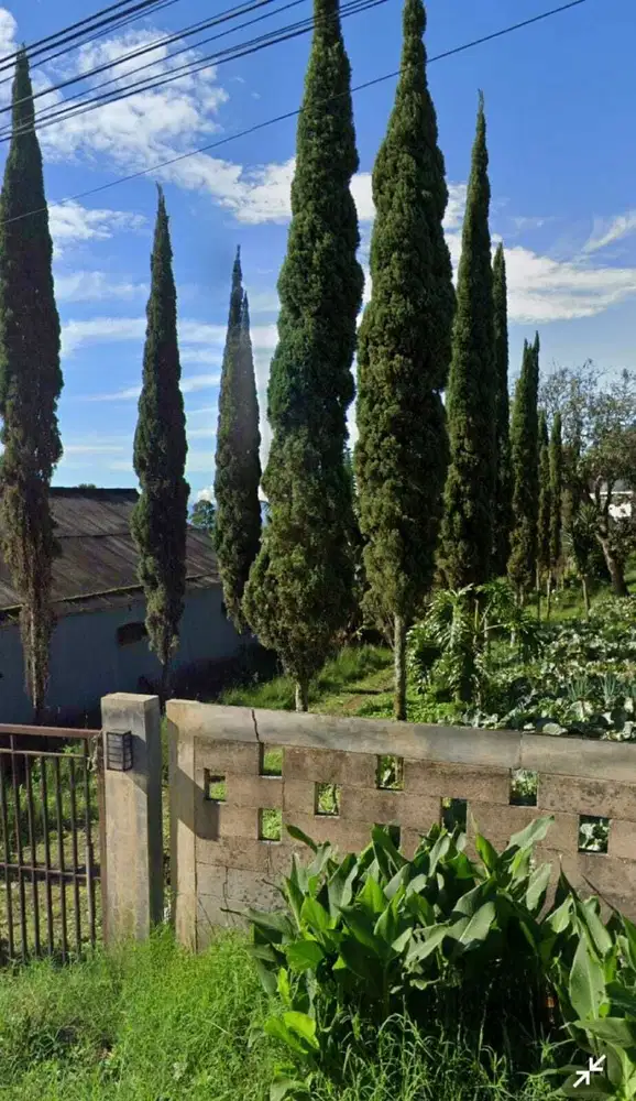 Villa Cipanas  Gunung Putri Bogor